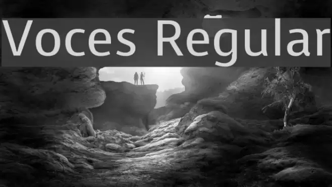 Voces Regular examples