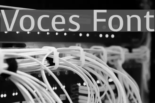Voces examples