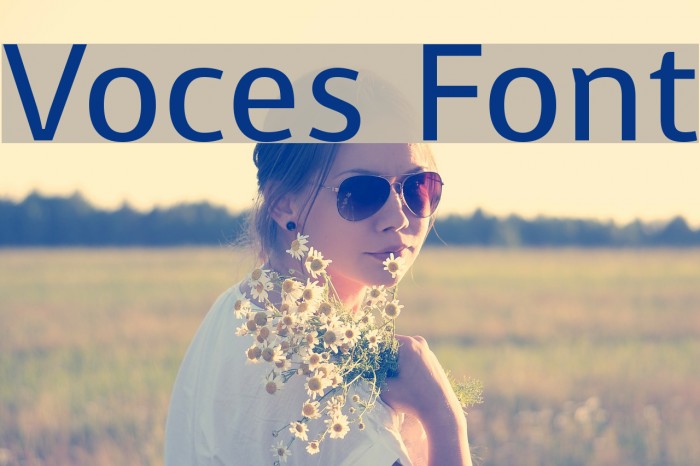 Voces Font examples