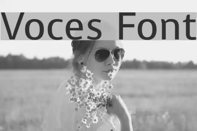 Voces examples