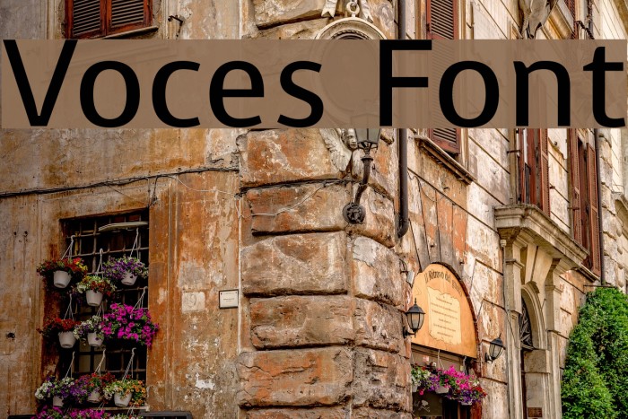 Voces Font examples