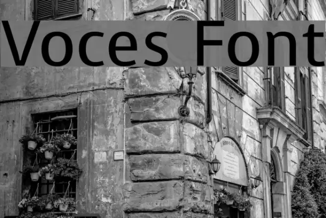Voces examples