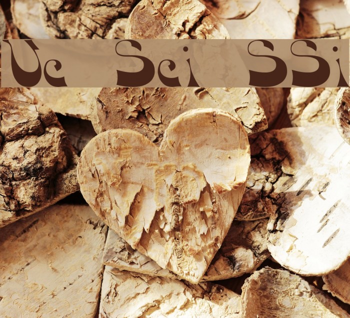 Voco Script SSi Font examples
