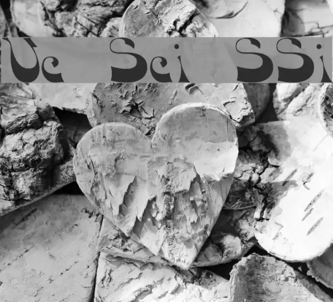 Voco Script SSi 字体 examples