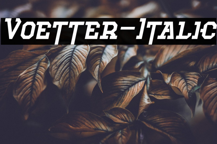 Voetter-Italic Example 1