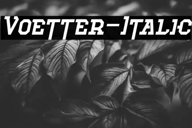 Voetter-Italic Font examples