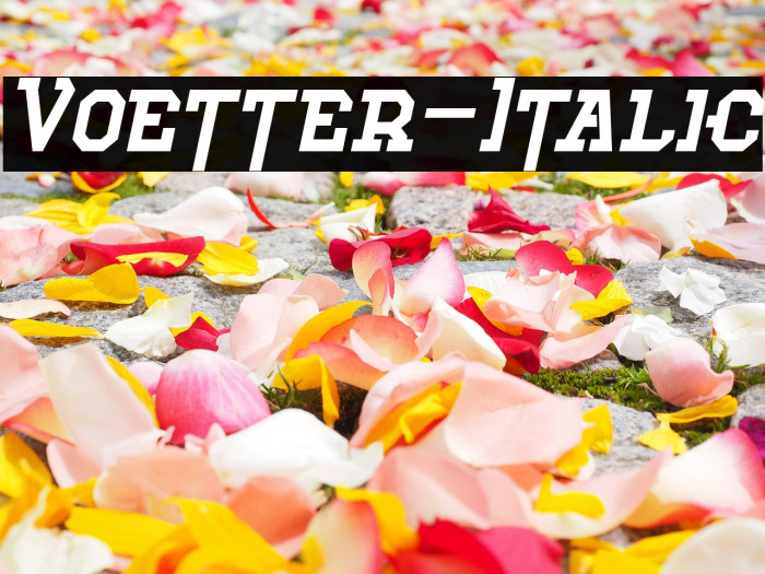 Voetter-Italic Example 2