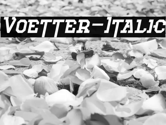 Voetter-Italic Font examples