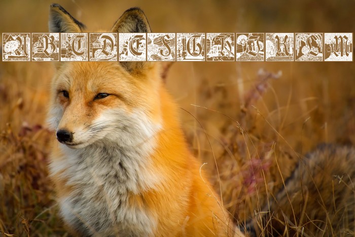 Vogeler Caps Example 2