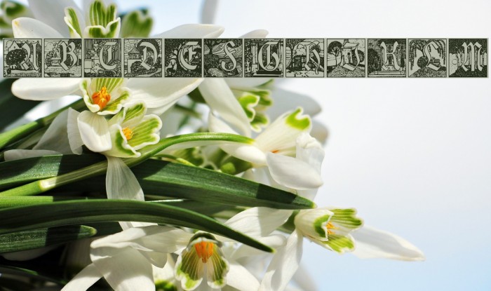 Vogeler Caps Example 3