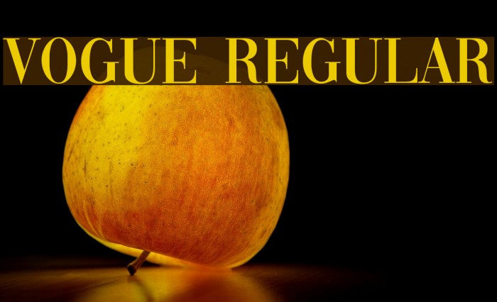 Vogue Regular Font examples