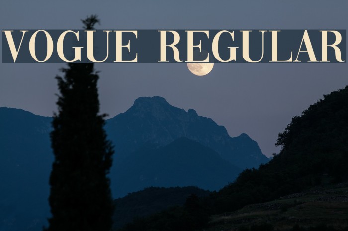 Vogue Regular Font examples