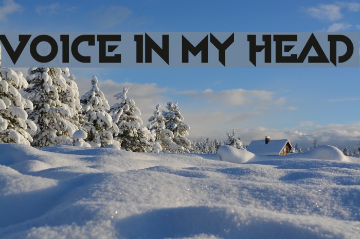 Voice In My Head Font examples