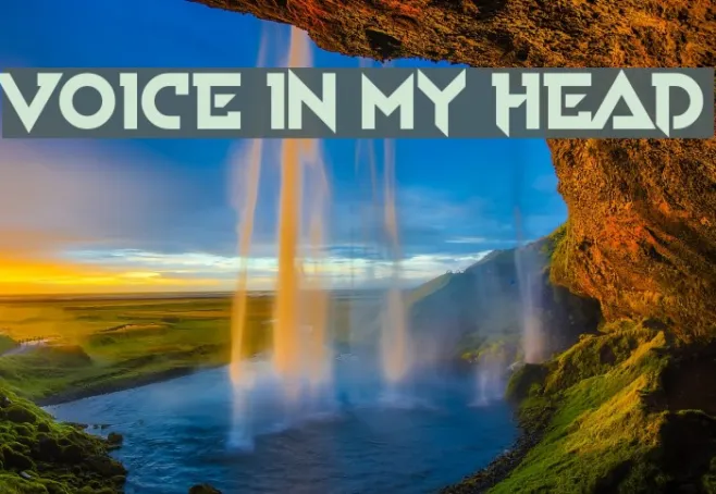 Voice In My Head Example 2