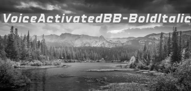 VoiceActivatedBB-BoldItalic Font examples