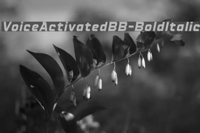 VoiceActivatedBB-BoldItalic Font examples