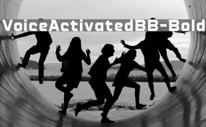 VoiceActivatedBB-Bold Font examples