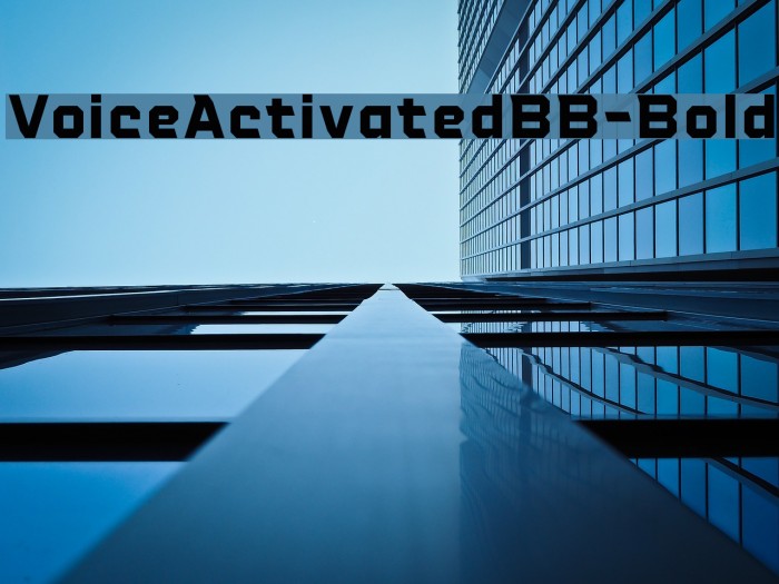 VoiceActivatedBB-Bold Example 2