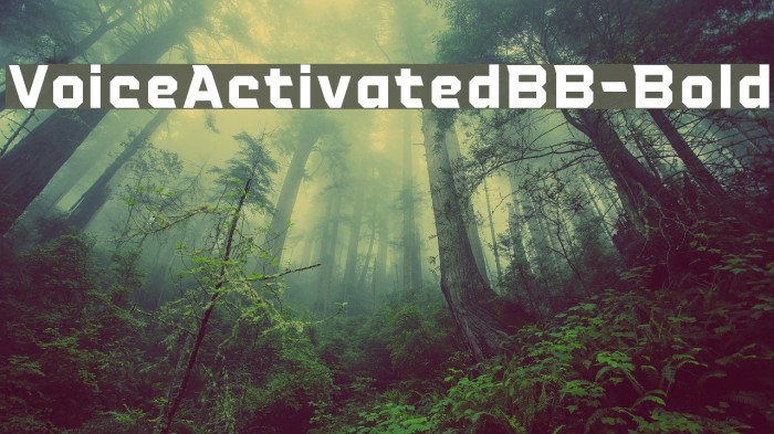 VoiceActivatedBB-Bold Example 3