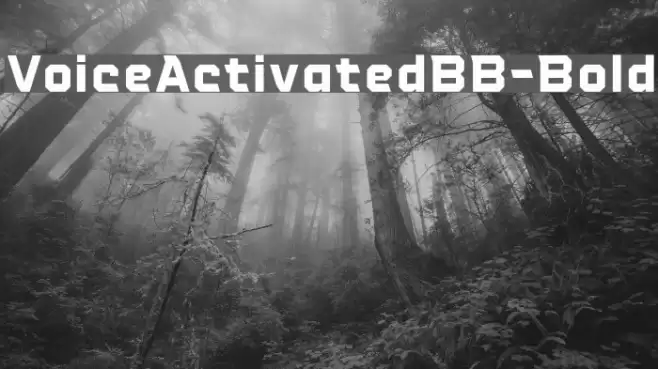 VoiceActivatedBB-Bold Font examples