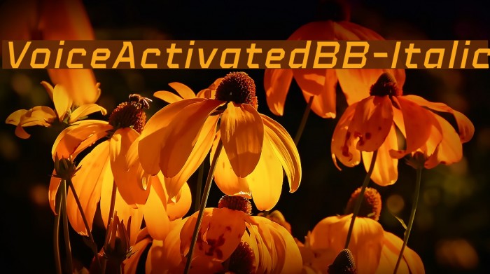 VoiceActivatedBB-Italic Font examples