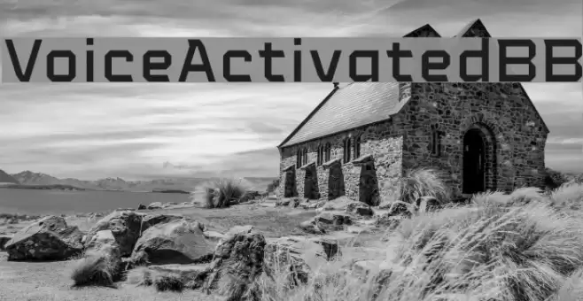 VoiceActivatedBB Font examples