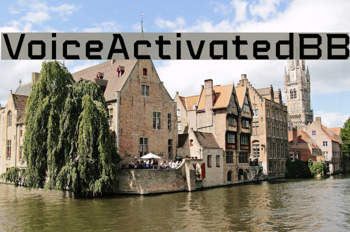 VoiceActivatedBB Example 2