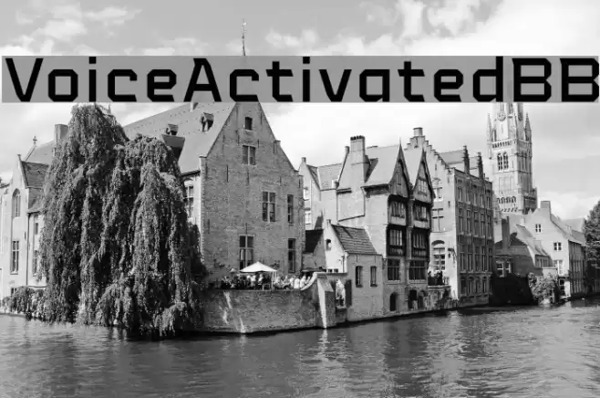 VoiceActivatedBB Font examples