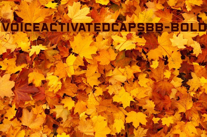 VoiceActivatedCapsBB-Bold Font examples