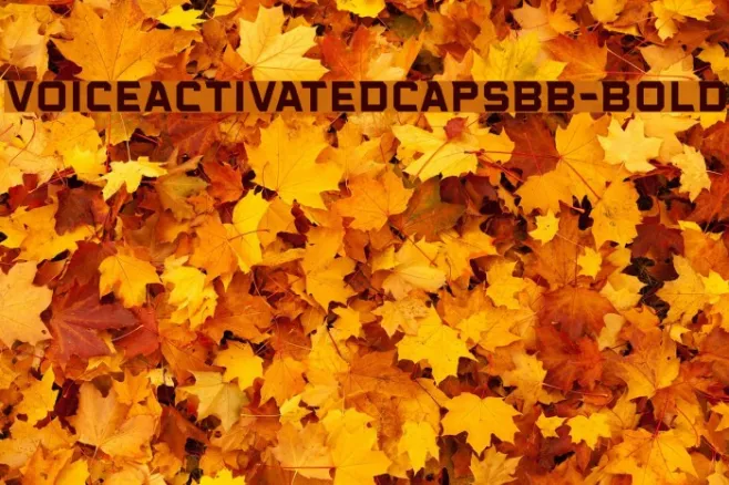 VoiceActivatedCapsBB-Bold Example 1