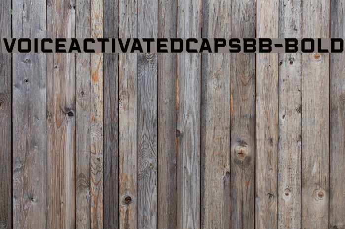 VoiceActivatedCapsBB-Bold Font examples