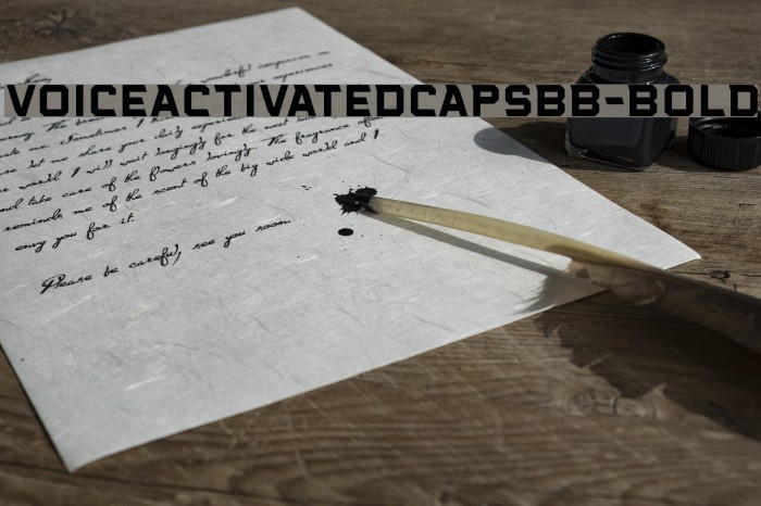 VoiceActivatedCapsBB-Bold Font examples