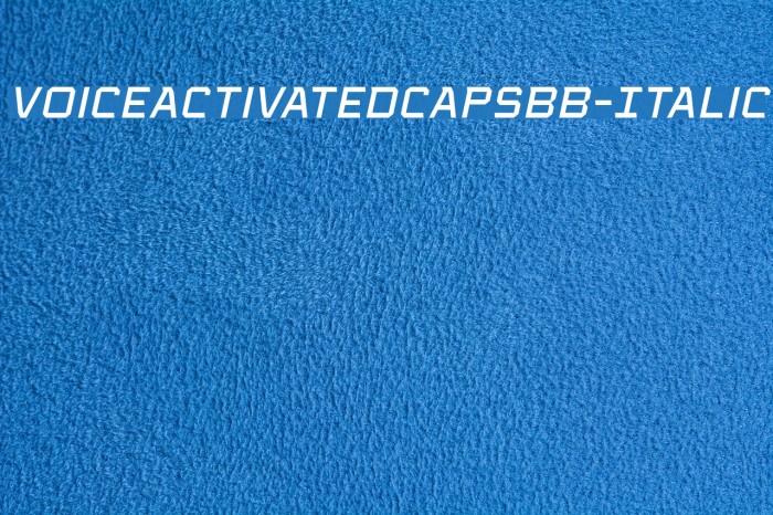 VoiceActivatedCapsBB-Italic Font examples