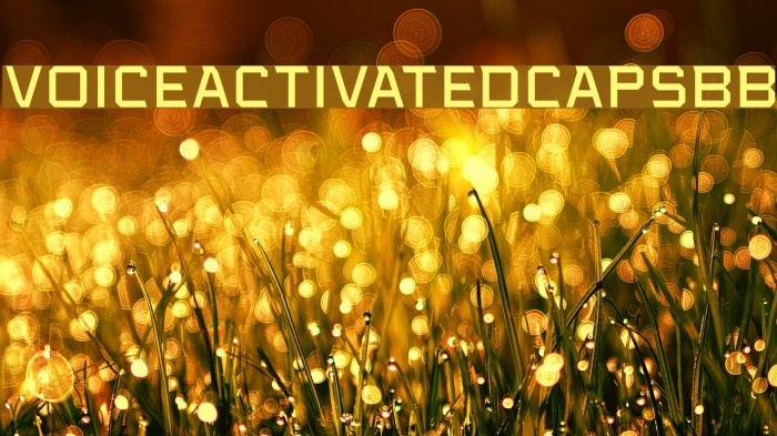 VoiceActivatedCapsBB Font examples