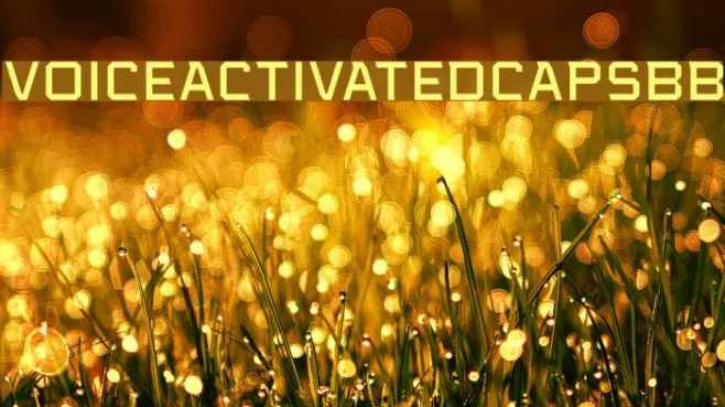 VoiceActivatedCapsBB Example 1