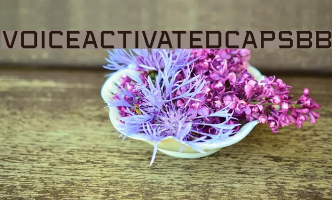 VoiceActivatedCapsBB Example 3