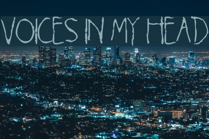 Voices in my Head Example 2