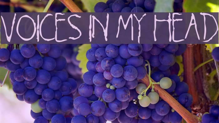 Voices in my Head Example 3