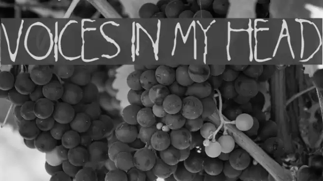 Voices in my Head Font examples