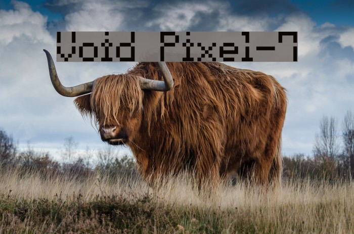 Void Pixel-7 Font examples