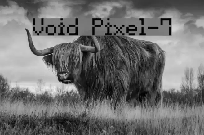 Void Pixel-7 Fonte examples