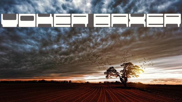 Voker baxer Font examples