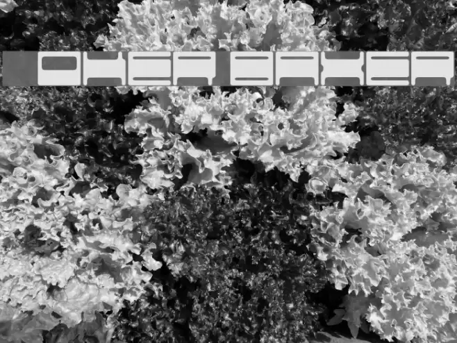 Voker baxer Font examples