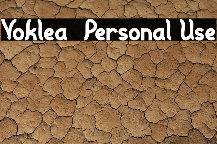 Voklea - Personal Use Example 1