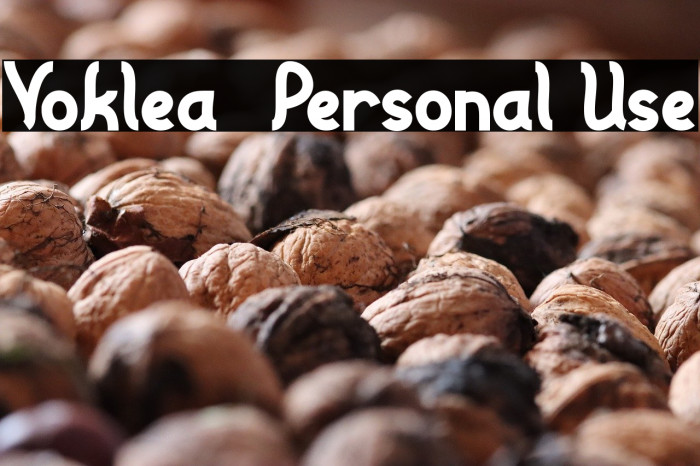 Voklea - Personal Use Example 2