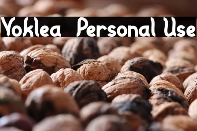Voklea - Personal Use Example 2