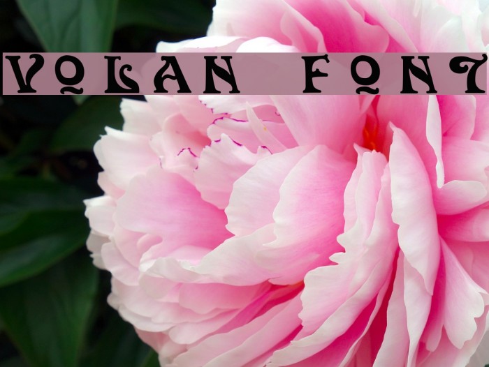 Volan Font examples