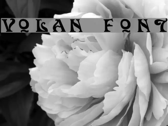 Volan Fonte examples