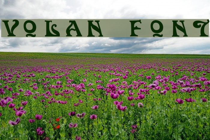 Volan Font examples