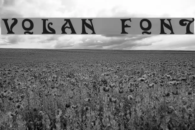 Volan Fonte examples